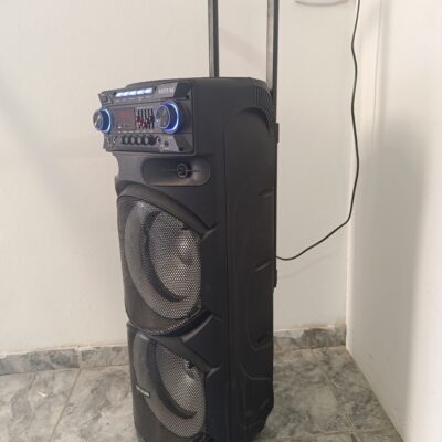 Parlante Panacom Karaoke Big Pro 1000 con microfono